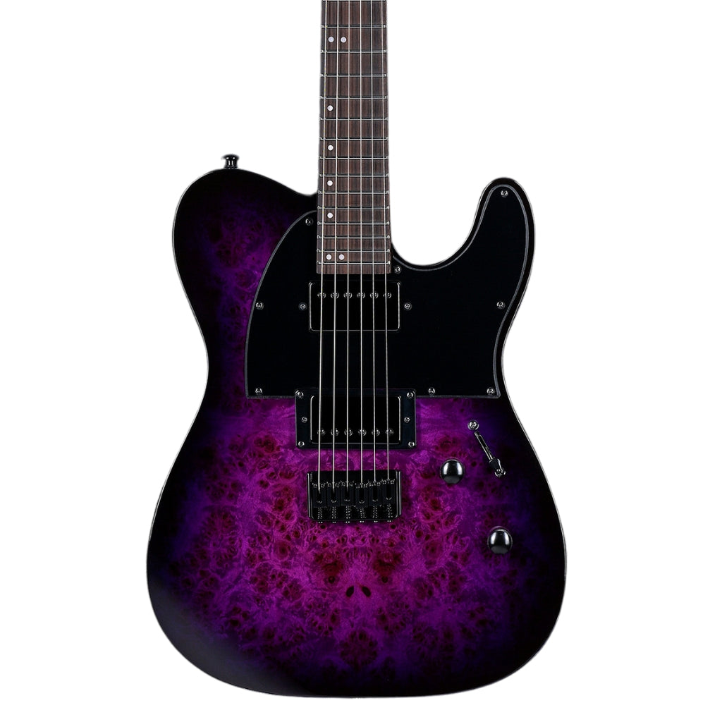 ESP LTD - TE-200DX Electric Guitar - Purple Burst