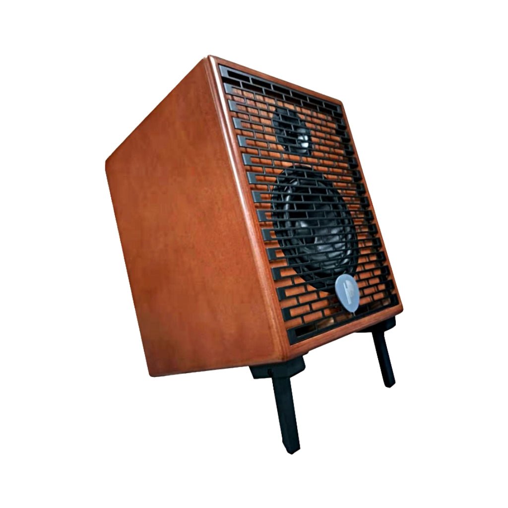 Prodipe Natural 6 140-Watt Acoustic Amplifier w/Bag - Cherry Wood Acoustic Guitar Amplifiers Sky Music