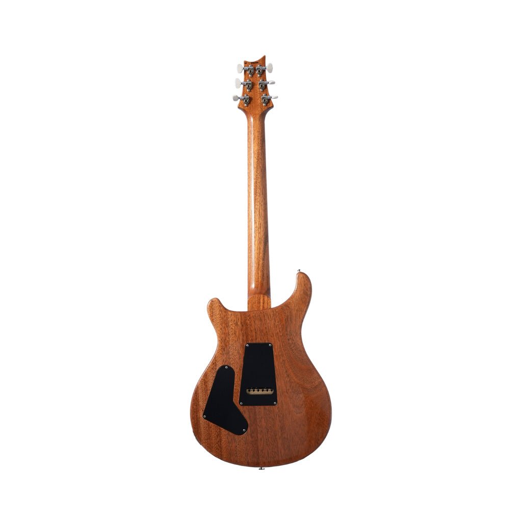 PRS Custom 24-08 Maple Top Pattern Thin Electric Guitar - Aurora Borealis Electric Guitars Sky Music