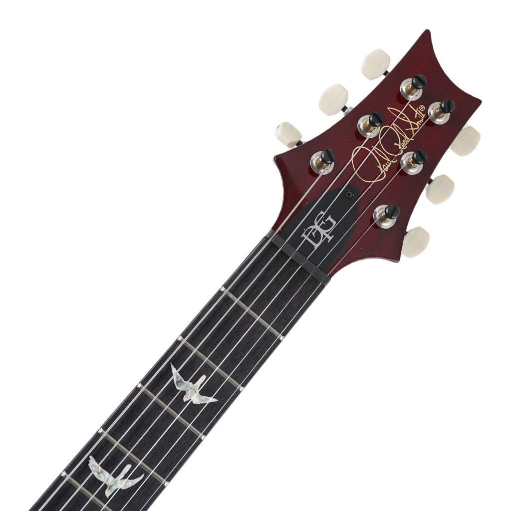 PRS DGT - Dark Cherry Burst - Birds Electric Guitars Sky Music