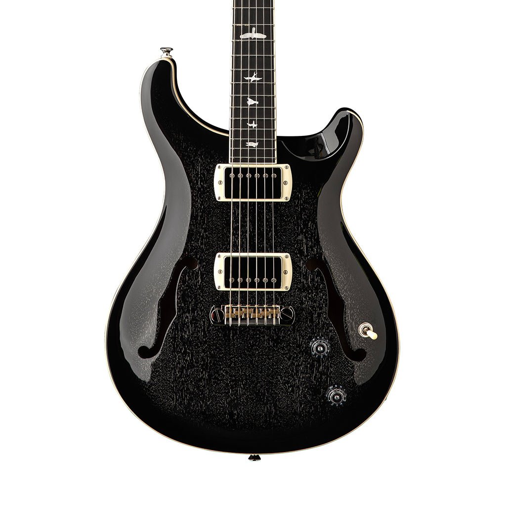 PRS SE Hollowbody Standard - Dog Hair Smokeburst Electric Guitars Sky Music