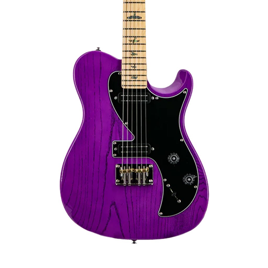 PRS SE NF53 Narrowfield Pickups Electric Guitar - Purple Dog Hair Electric Guitars Sky Music