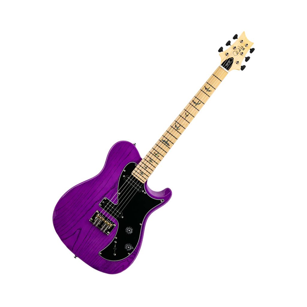 PRS SE NF53 Narrowfield Pickups Electric Guitar - Purple Dog Hair Electric Guitars Sky Music