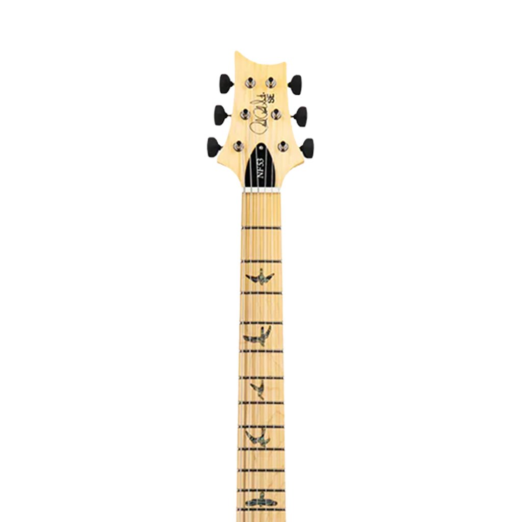 PRS SE NF53 Narrowfield Pickups Electric Guitar - Purple Dog Hair Electric Guitars Sky Music