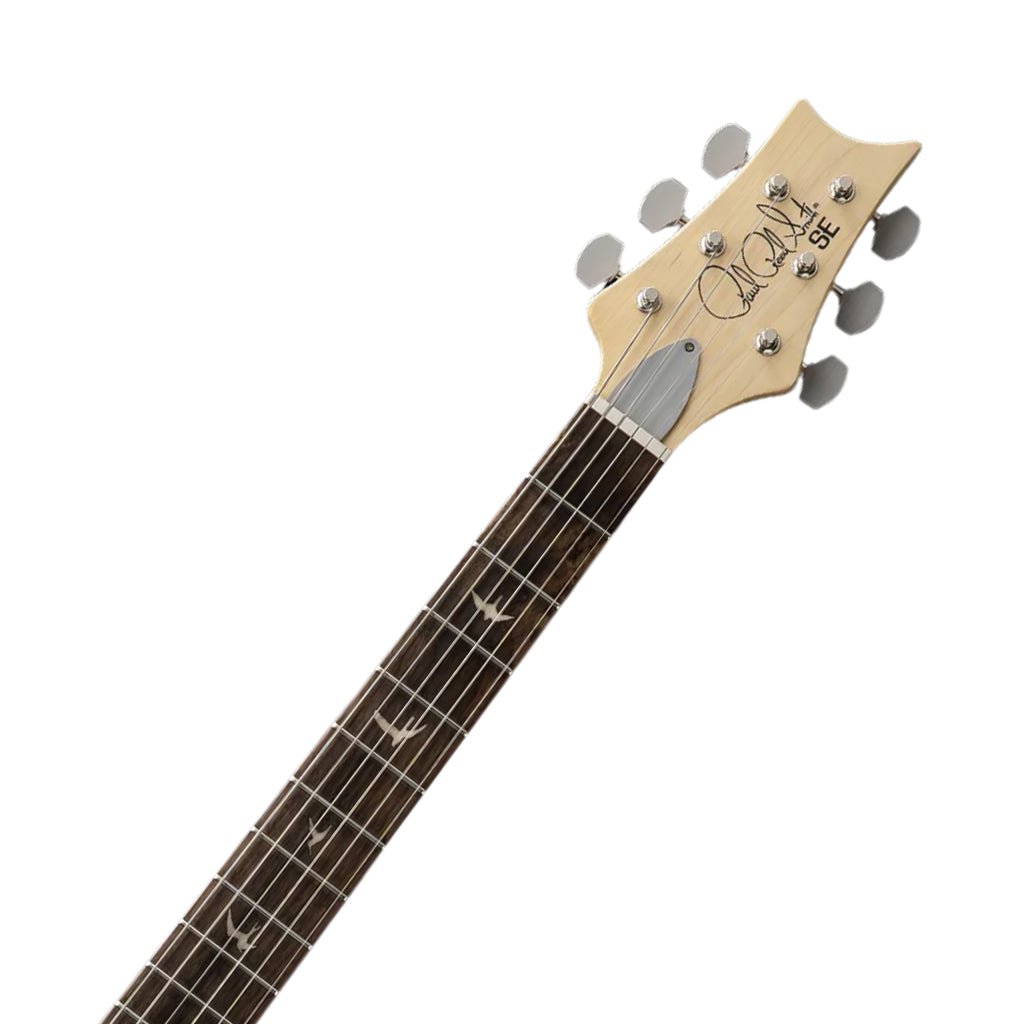 PRS SE Silver Sky Rosewood Electric Guitar - Piano Black Electric Guitars Sky Music