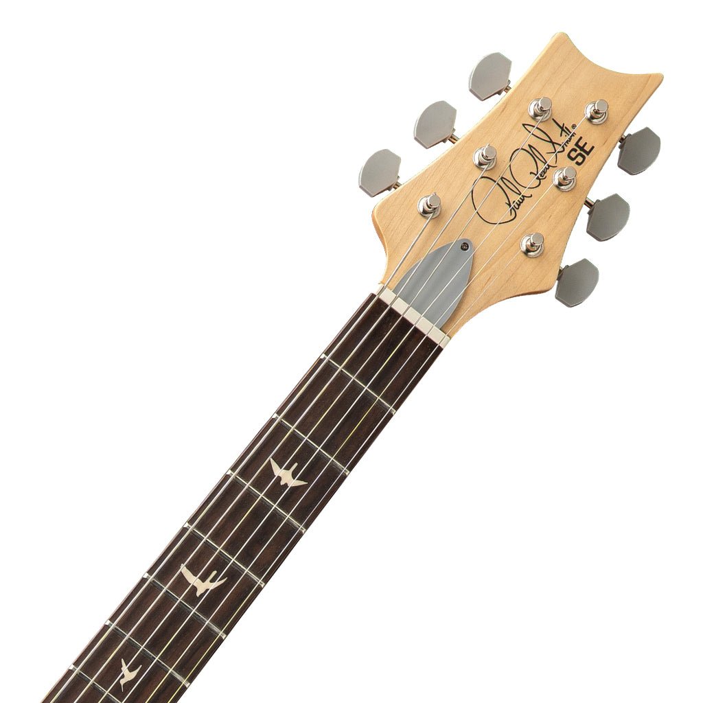 PRS SE Silver Sky Rosewood Fretboard - Dandy Lion Electric Guitars Sky Music