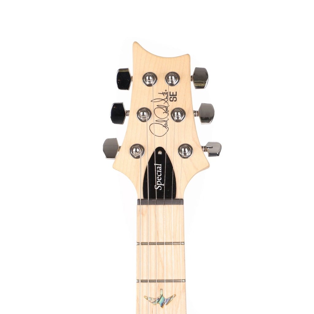 PRS SE Swamp Ash Special Electric Guitar - Charcoal Electric Guitars Sky Music