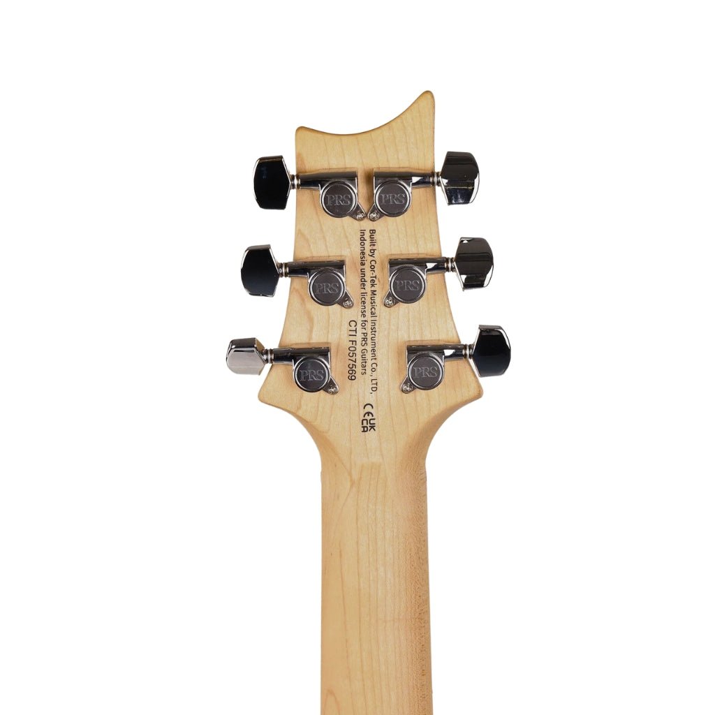PRS SE Swamp Ash Special - Iri Blue Electric Guitars Sky Music