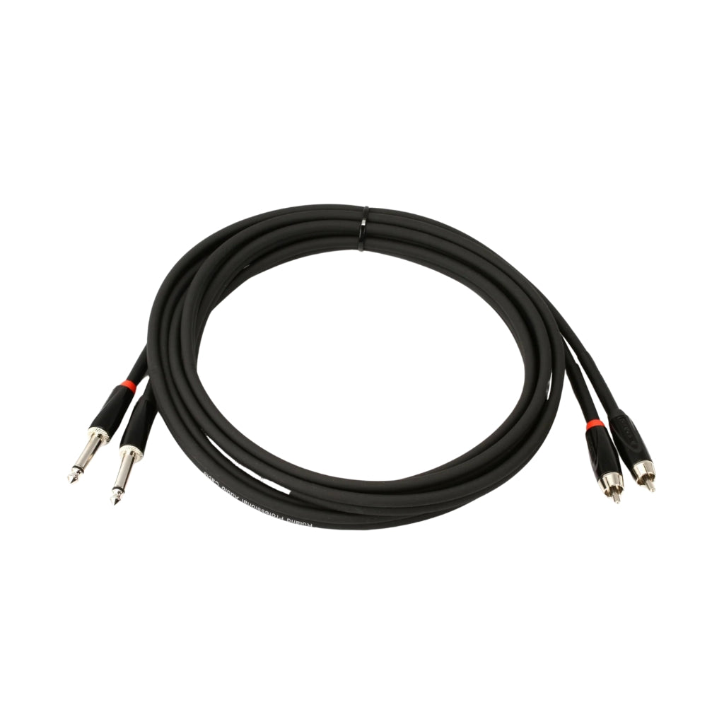 Roland - RCC-10-2R28 2RCA to 2TS - Interconnect Cable 10ft