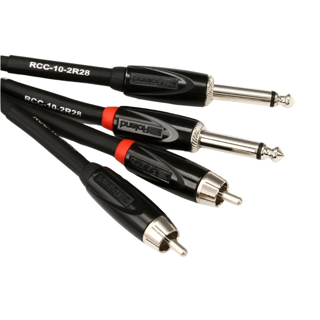 Roland - RCC-10-2R28 2RCA to 2TS - Interconnect Cable 10ft