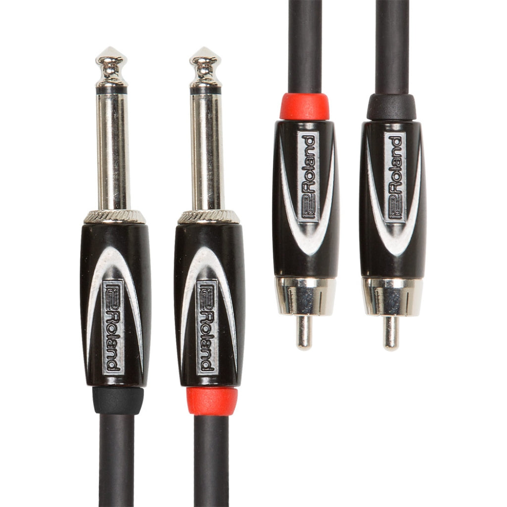 Roland - RCC-5-2R28 2RCA to 2TS - Black Series Interconnect Cable 5ft