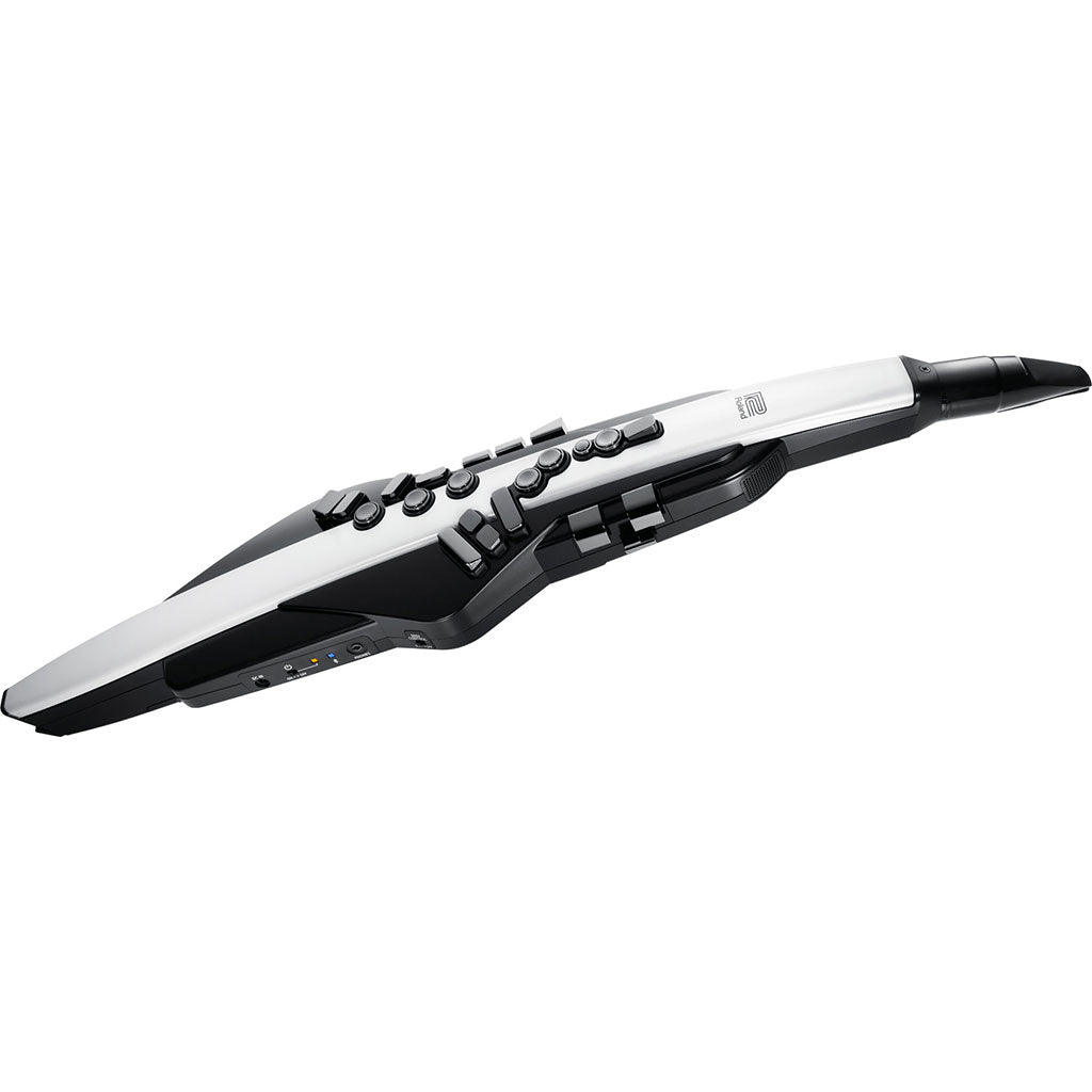 Roland AE20 Aerophone