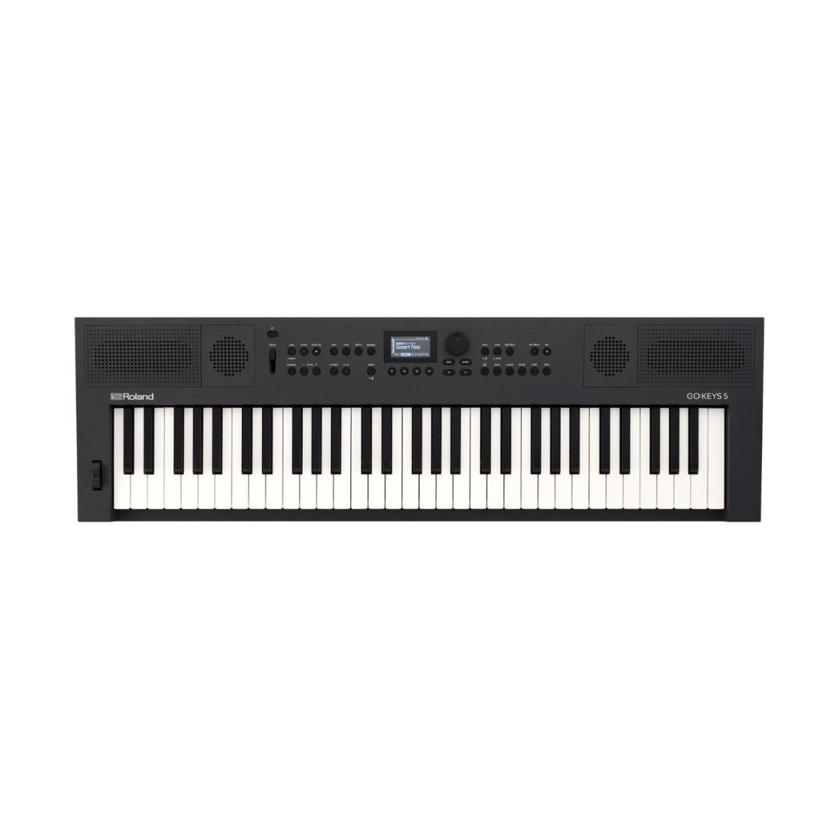Roland GO:KEYS 5 Graphite Keyboards Sky Music