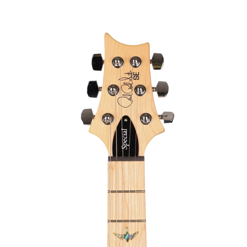 PRS - SE Swamp Ash Special - Iri Blue