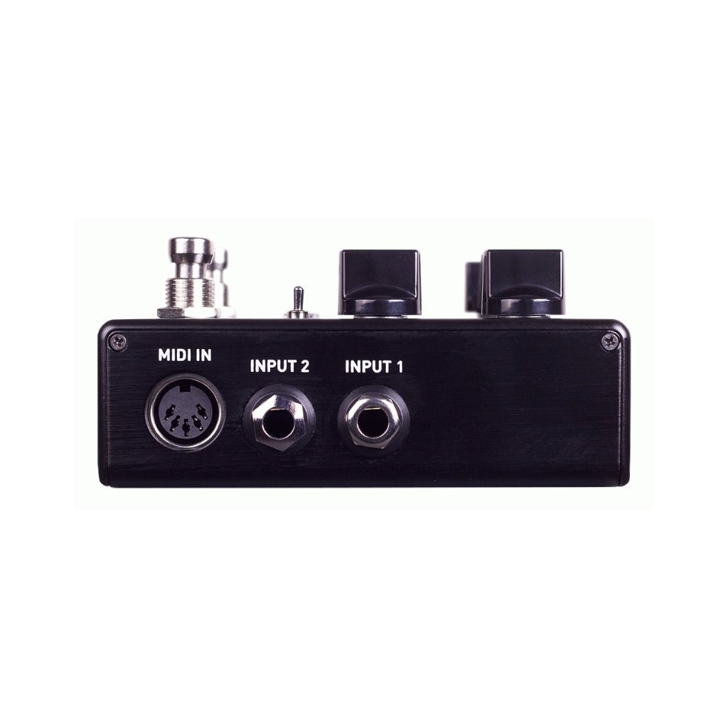 Source Audio Encounter Ambient Delay/Reverb Pedal Effects Pedals Sky Music