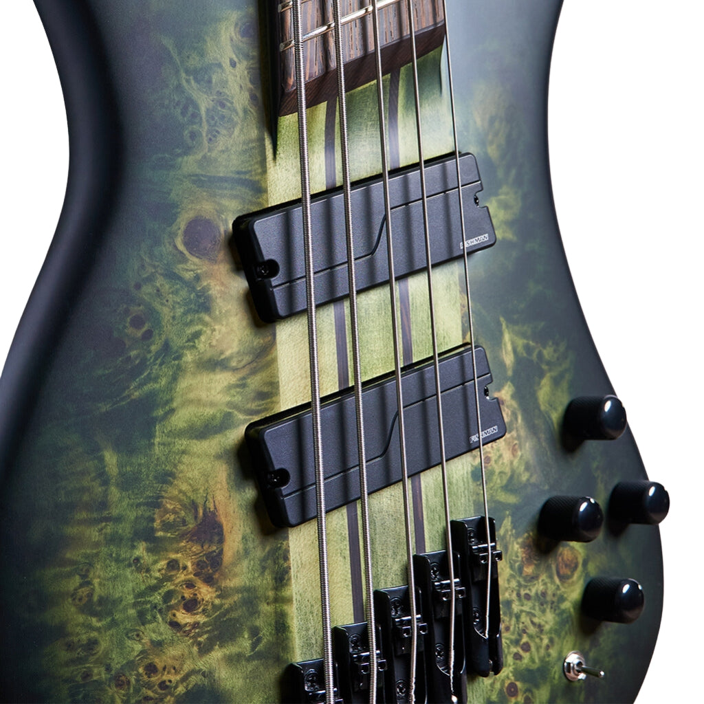 Spector - Dimension Multiscale 5 String Bass - Haunted Moss