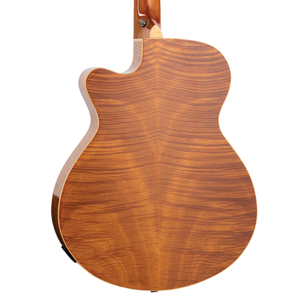Tanglewood Reunion Pro SF C/E Flamed Mahogany Solid Spruce Top Acoustic Guitars Sky Music