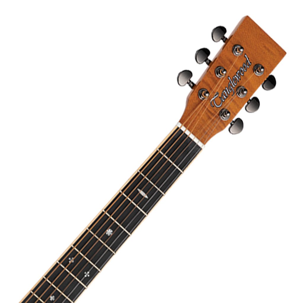 Tanglewood Reunion Pro SF C/E Flamed Mahogany Solid Spruce Top Acoustic Guitars Sky Music