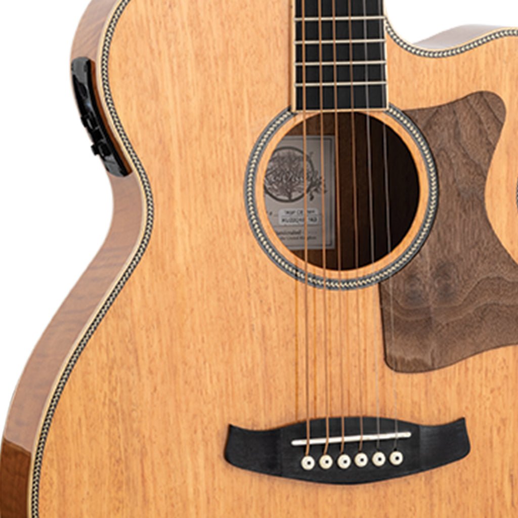 Tanglewood Reunion Pro SF C/E Flamed Mahogany Solid Spruce Top Acoustic Guitars Sky Music