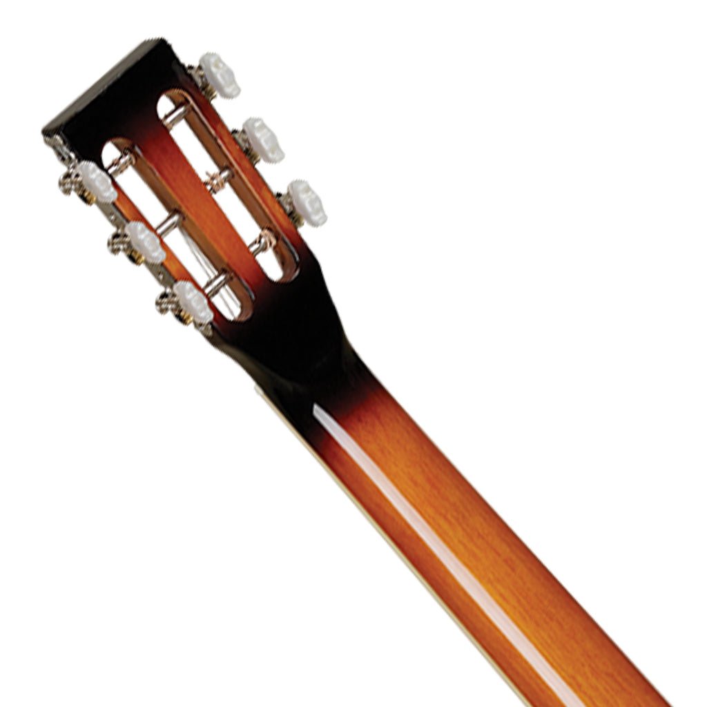 Tanglewood TWD1 Resonator Resonators Sky Music