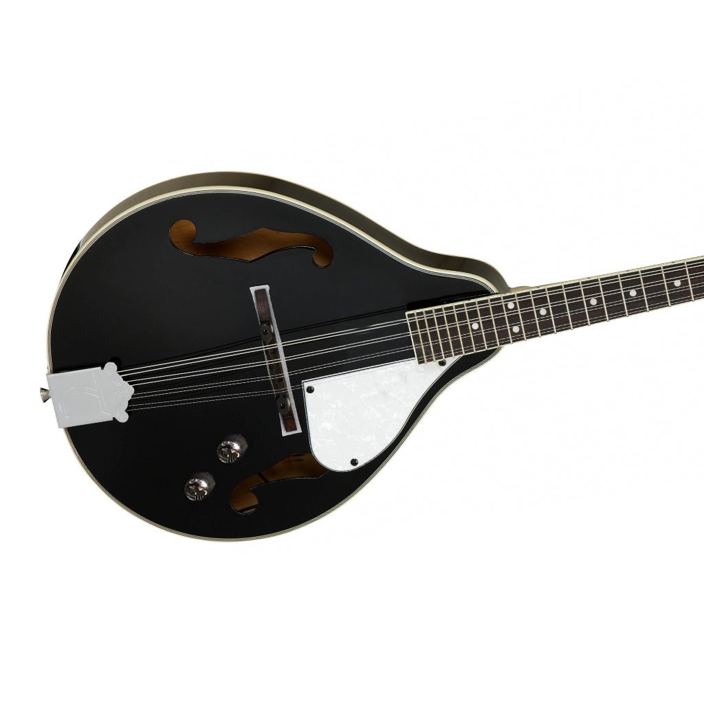 Tanglewood TWMTBKPE Union Series Mandolin - Black Mandolins Sky Music