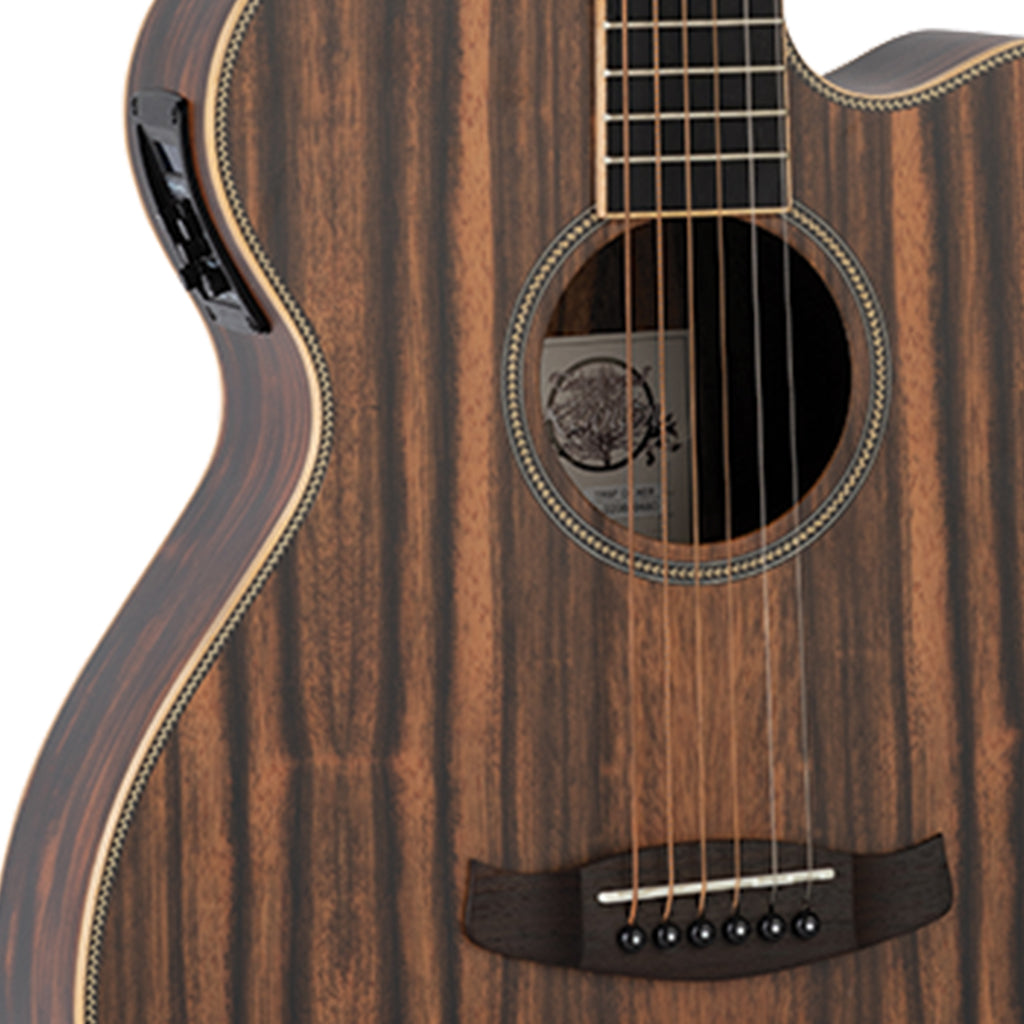 Tanglewood TRU4 CE AE Reunion Pro Solid top all Ebony Super Folk