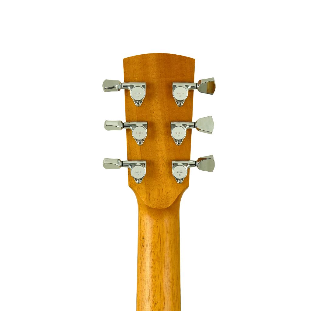 Fenech - VT D78 Cutaway - Camphor B&S