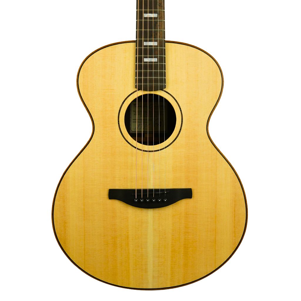 Fenech - VTP Rosewood - Auditorium