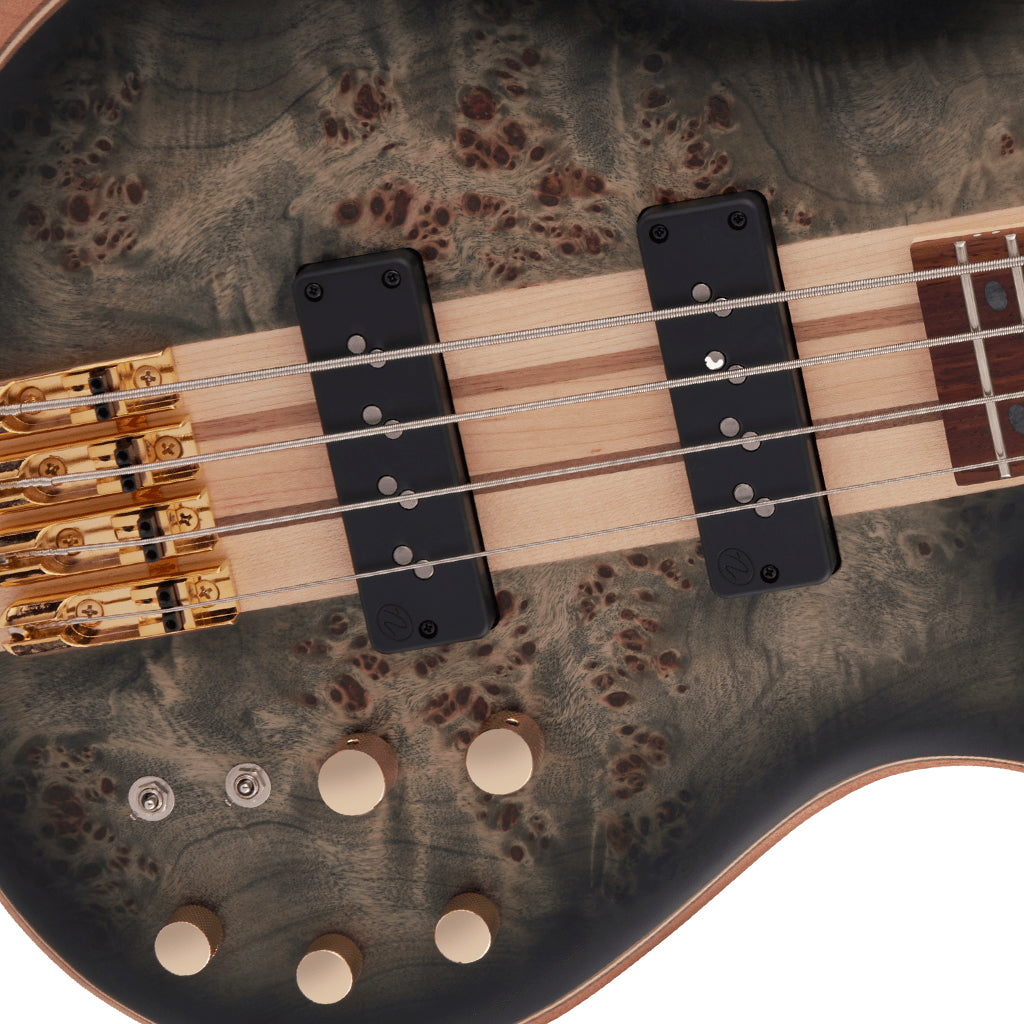 Jackson Pro Series Spectra Bass SBP IV Caramelized Jatoba Fingerboard Transparent Black Burst