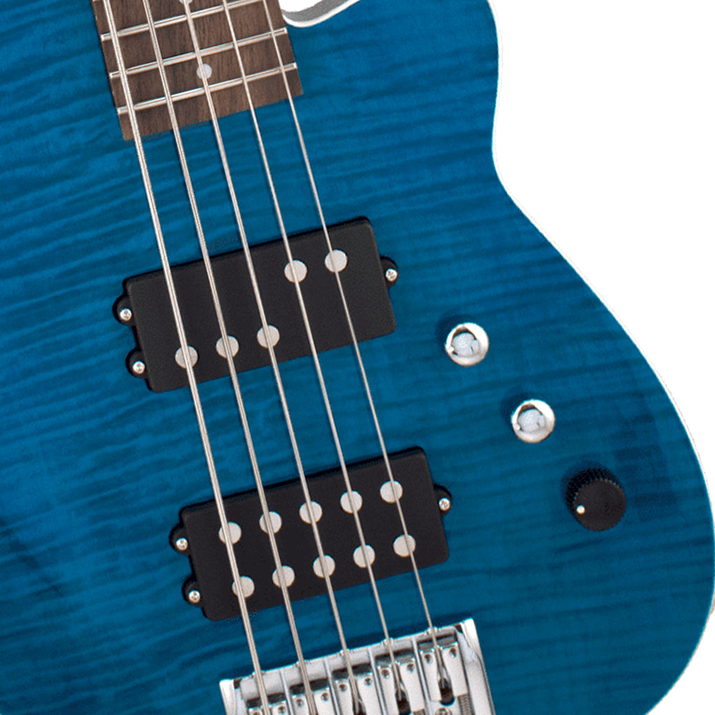 Reverend Mercalli 5 string Bass Guitar FM TRBL RW