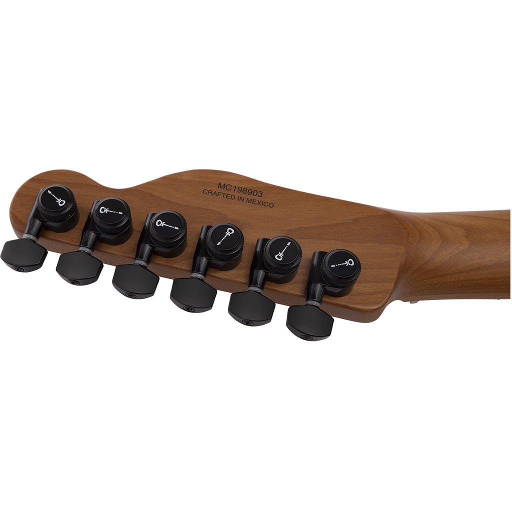 Charvel Pro-Mod So-Cal Style 2 - Black Ash - Caramelized Maple