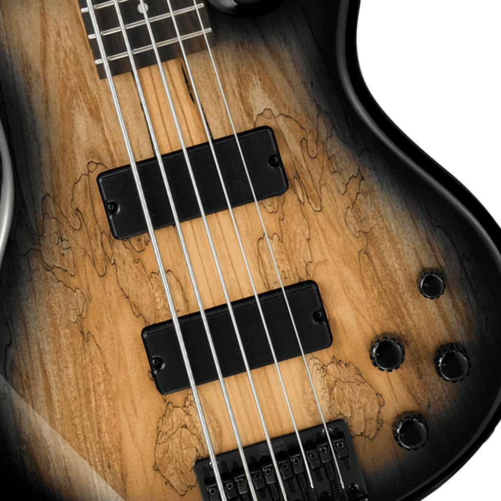 Ibanez GSR205SM Natural Grey Burst