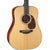 Takamine EF340S-TT Thermal Top Dreadnought Acoustic Guitar