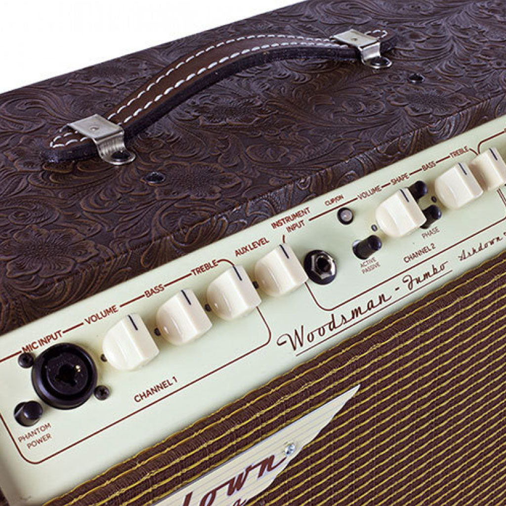 Ashdown 65W 2X8" 2 CHANNEL ACOUSTIC AMPLIFIER