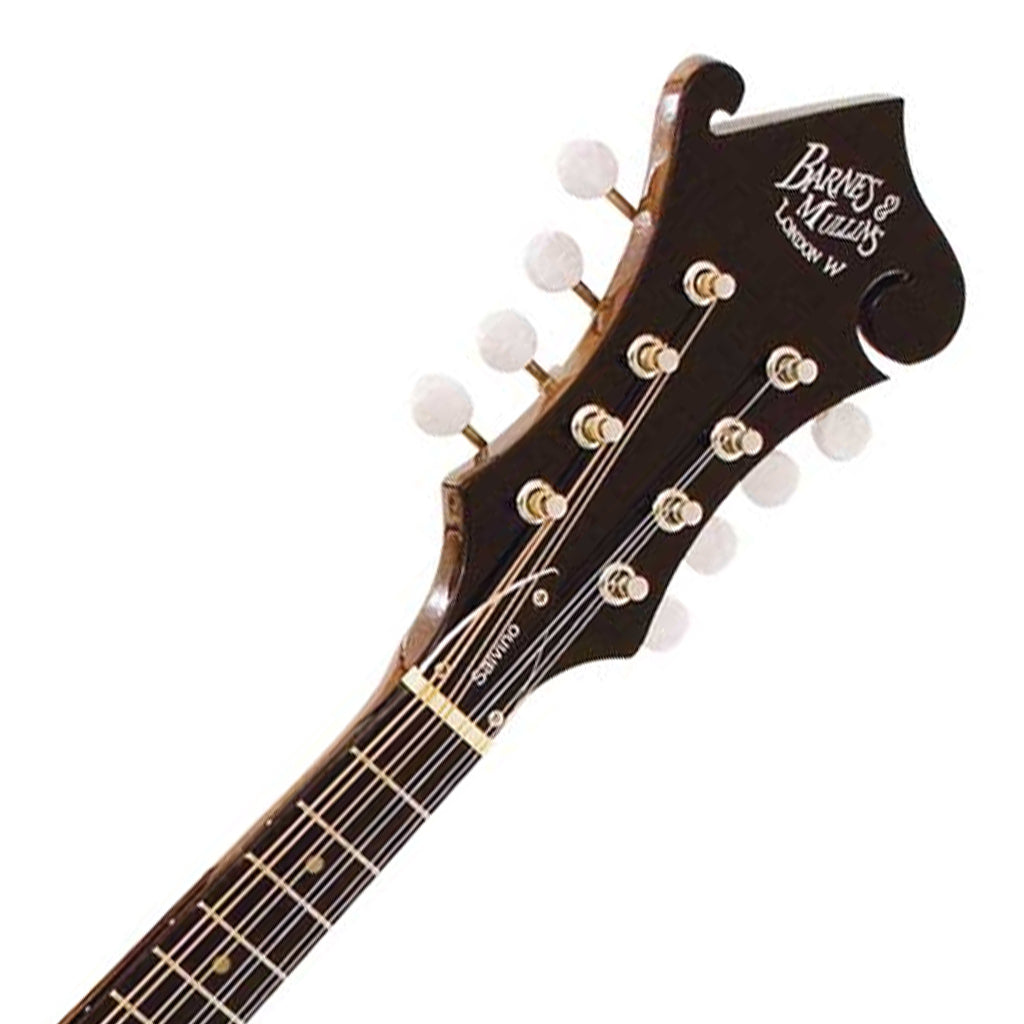 Barnes & Mullins Salvino Mandolin