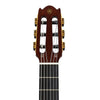 Yamaha NCX3C Nylon Acoustic Electric Guitar Cedar Top