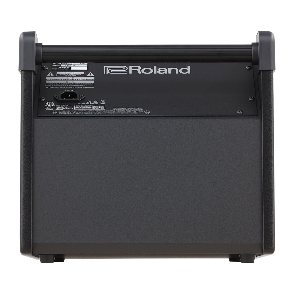 Roland PM-100 Personal Monitor-Sky Music