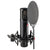 sE - 2300 Large Diaphragm Multi-pattern - Condenser Microphone