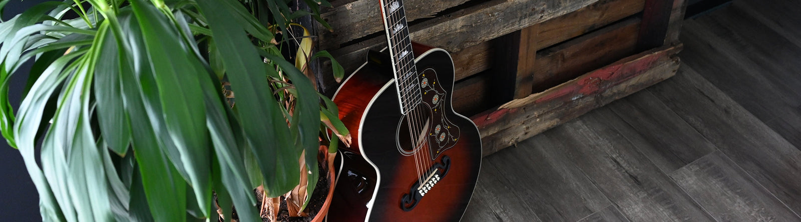 12 String Acoustic Guitars