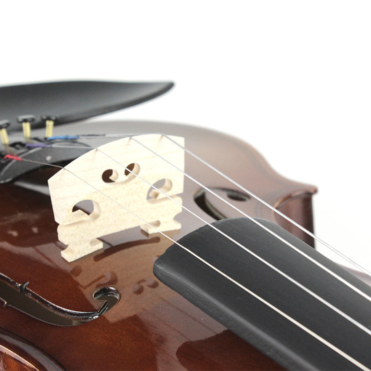 Nameless Violin SVLN2-1/4, with Bow and Case