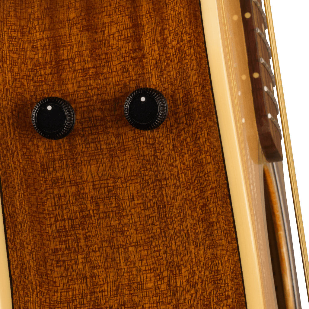 Fender Malibu Player Acoustic Guitar Natural