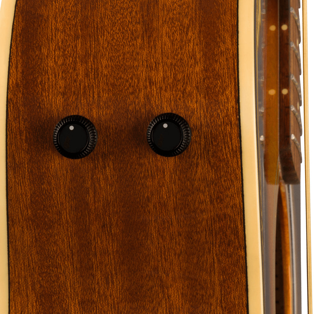 Fender Newporter Player Sunburst