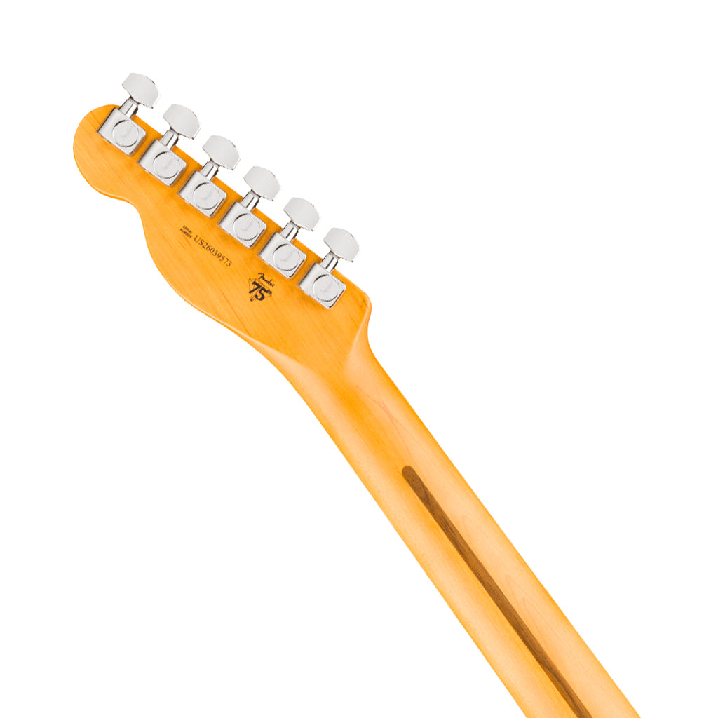 Fender American Professional Telecaster Rosewood Electric Guitar - Natural