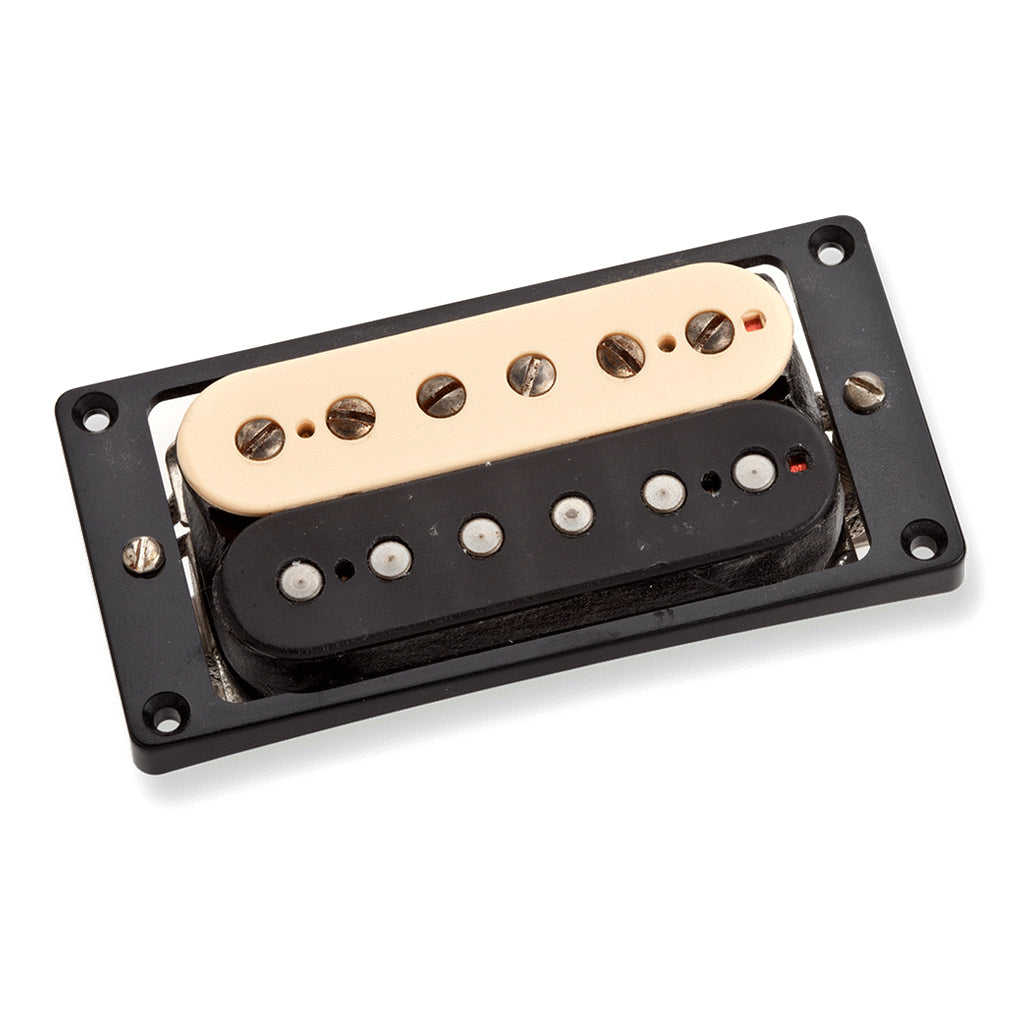 SD Antiquity Jazz Model Neck Zebra
