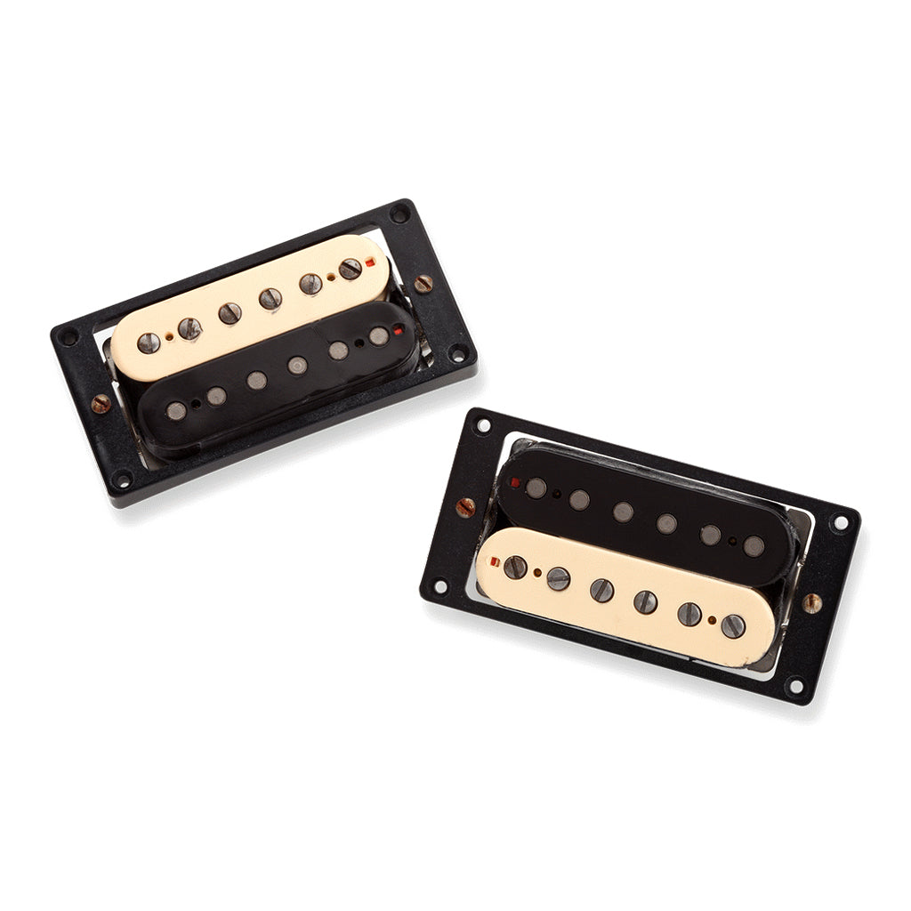 SD Antiquity JB Jazz Set Zebra