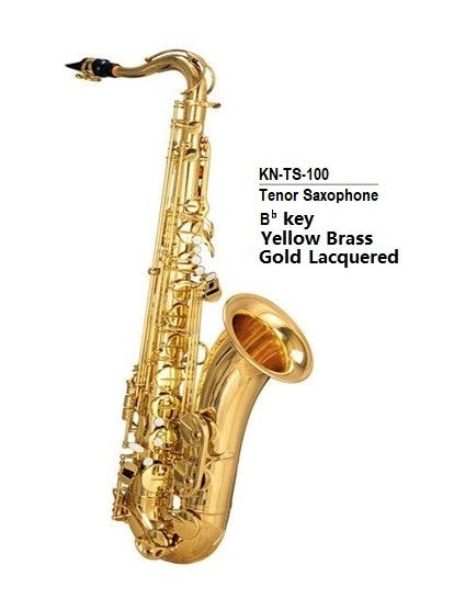 Knight Tenor Saxophone AS-100 with Case