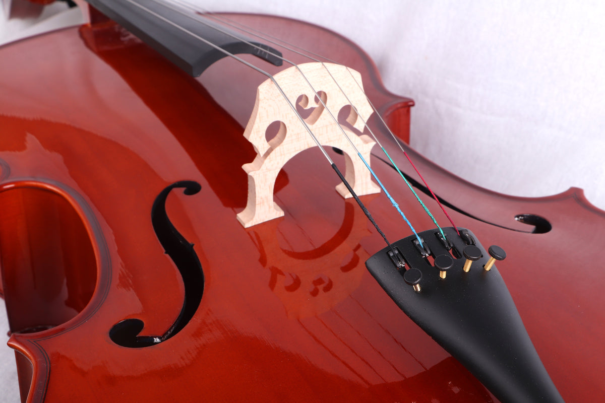 Nameless Handmade All Solid Cello SCLO3-4/4, with Bow and Bag