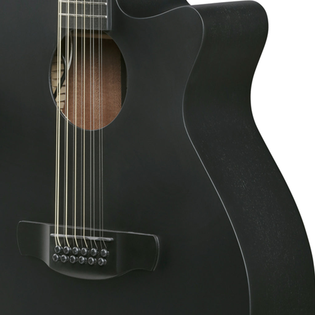 Ibanez AEG1221 12-String Acoustic Guitar w/Pickup - Black Out