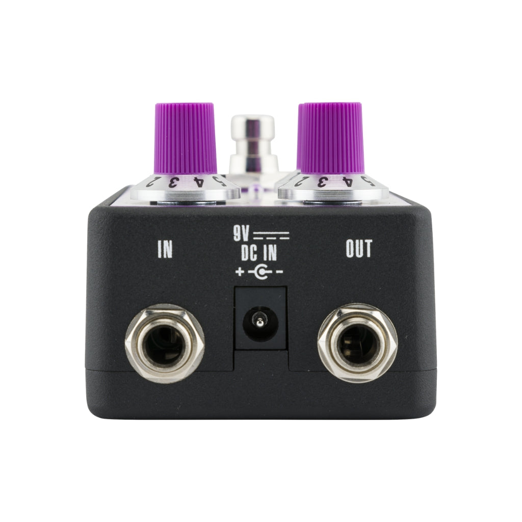 Fender - Bassman - Fuzz