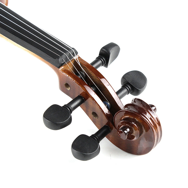 Nameless Violin SVLN2-4/4, with Bow and Case